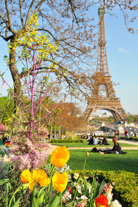 Voir la Tour Eiffel lors des voyages relooking